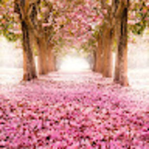 Meet your Posher, Dhruti